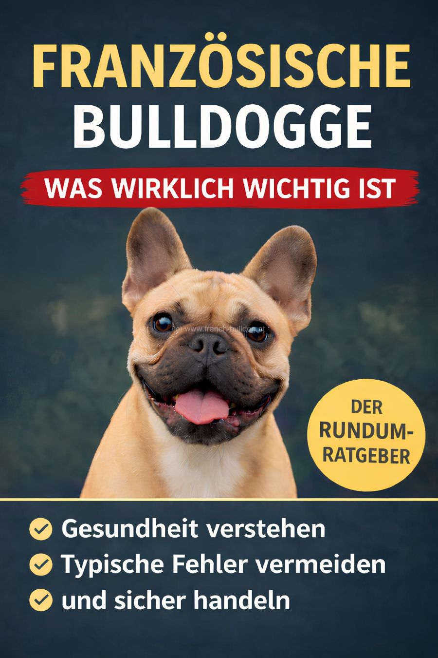 Titelbild des Rundum Ratgebers
